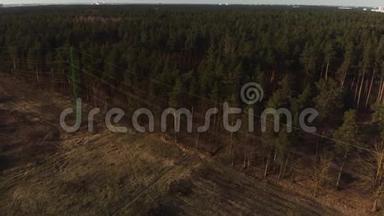 电影空中拍摄-在绿林上空日落时向高压电力塔和电力线路飞行